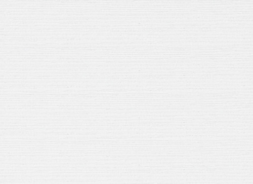 VILO Сайдинг Білий 3,00*0,20 #2